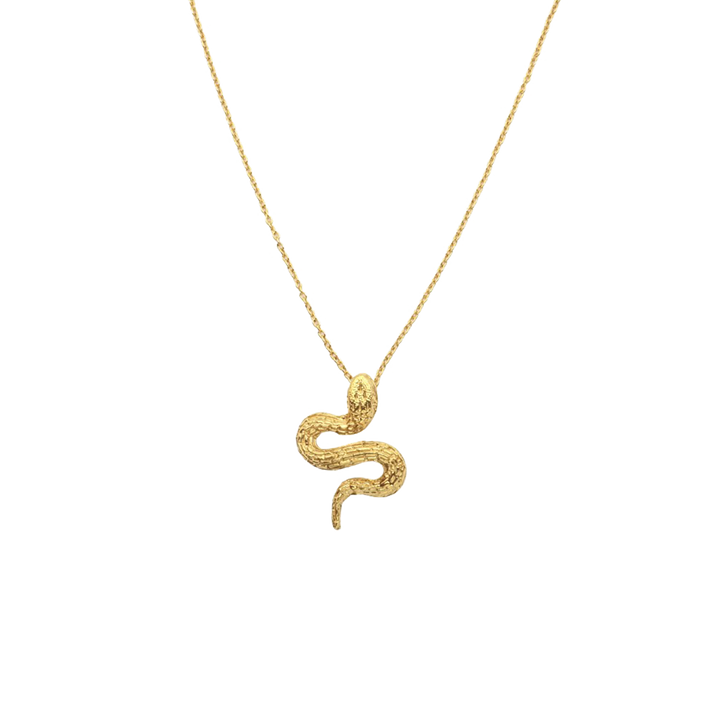 Colar Nature Cobra