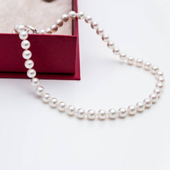 Colar Classic Silver 8mm