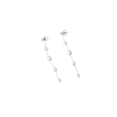 Brincos Dangle Silver