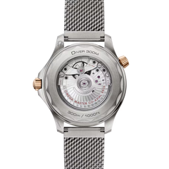 Seamaster Diver 300m 42mm