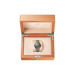 Seamaster Diver 300m 42mm