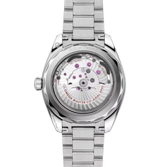 Seamaster Aqua Terra 150m Co-Axial Master Chronometer 41mm
