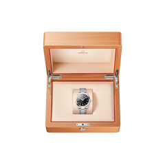 Seamaster Aqua Terra 150m Co-Axial Master Chronometer 41mm