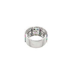 Anel Luis Carvalho IV