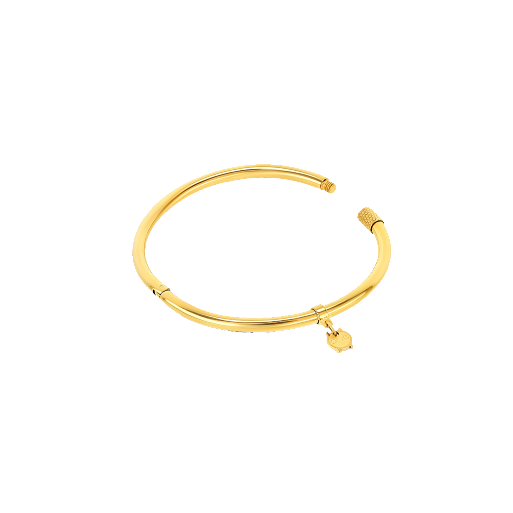 Escrava One Energy Master Oval Gold