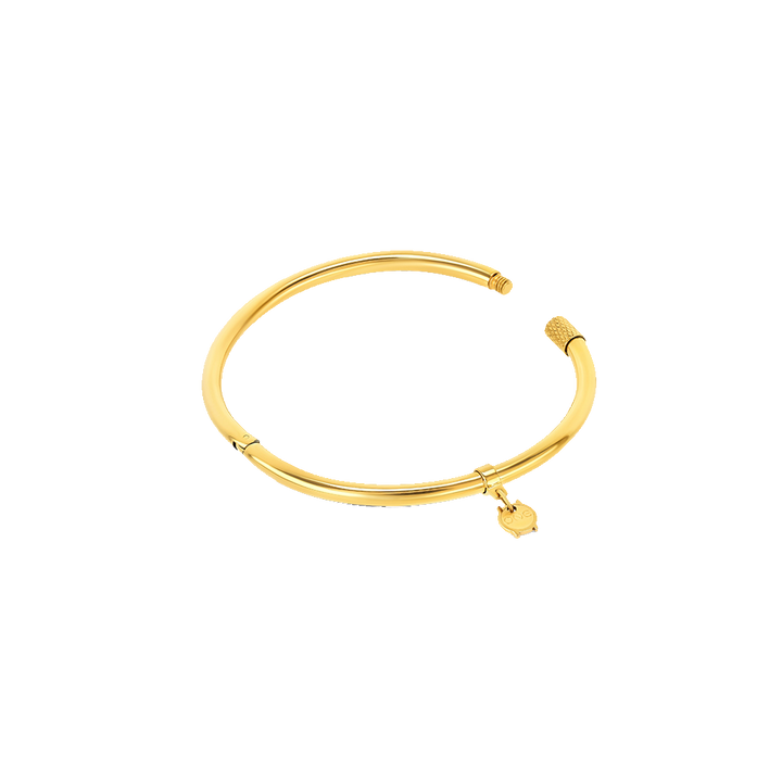 Escrava One Energy Master Oval Gold