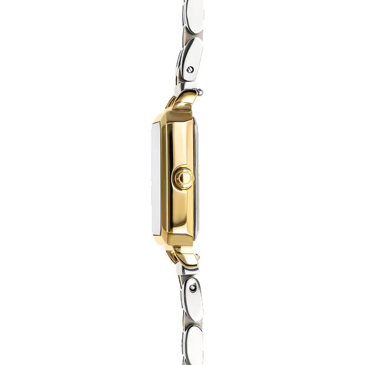 One Rêverie Bicolor