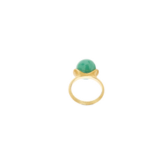 imagem do Anel Amuleti Amazónia visto da parte inferior