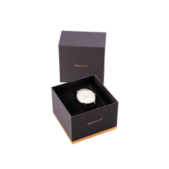 Park Hill III Gold-Brown 41.5mm