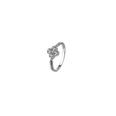 Anel Engagement Promise